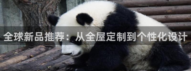 bb电子怎么赢