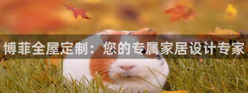 bb电子哪个平台好出款啊