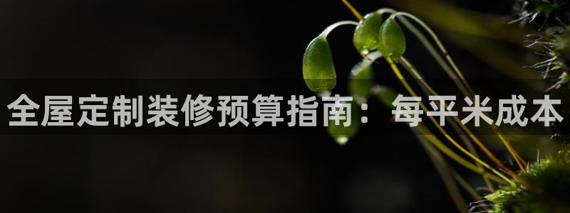 bb电子最简单设置方法