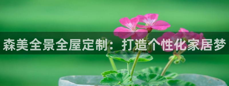 bb电子哪个平台好出款啊
