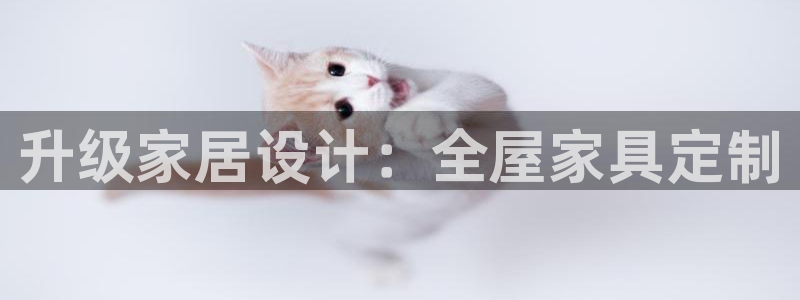 bb电子哪个平台好