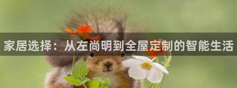 bb电子什么游戏好赢一点