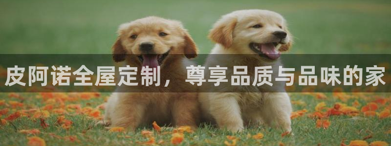 bb电子糖果玩法技巧