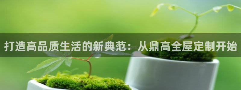 网上bb电子为什么那么假