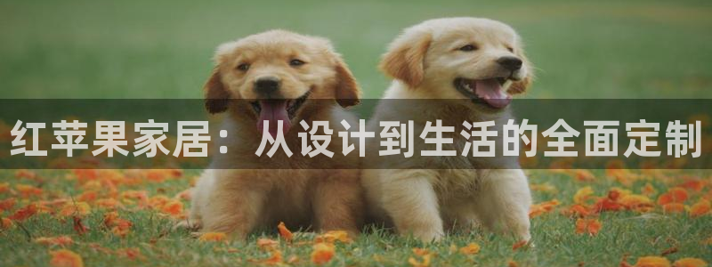 bb电子哪个平台好出款啊